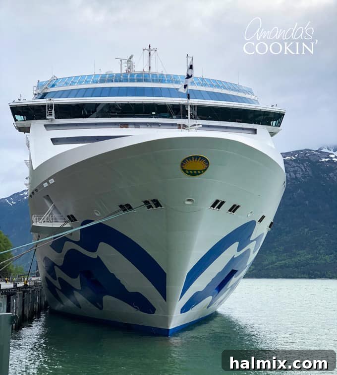 Unforgettable Davidson Glacier Canoe Expedition 7 princess cruise ship, island princess