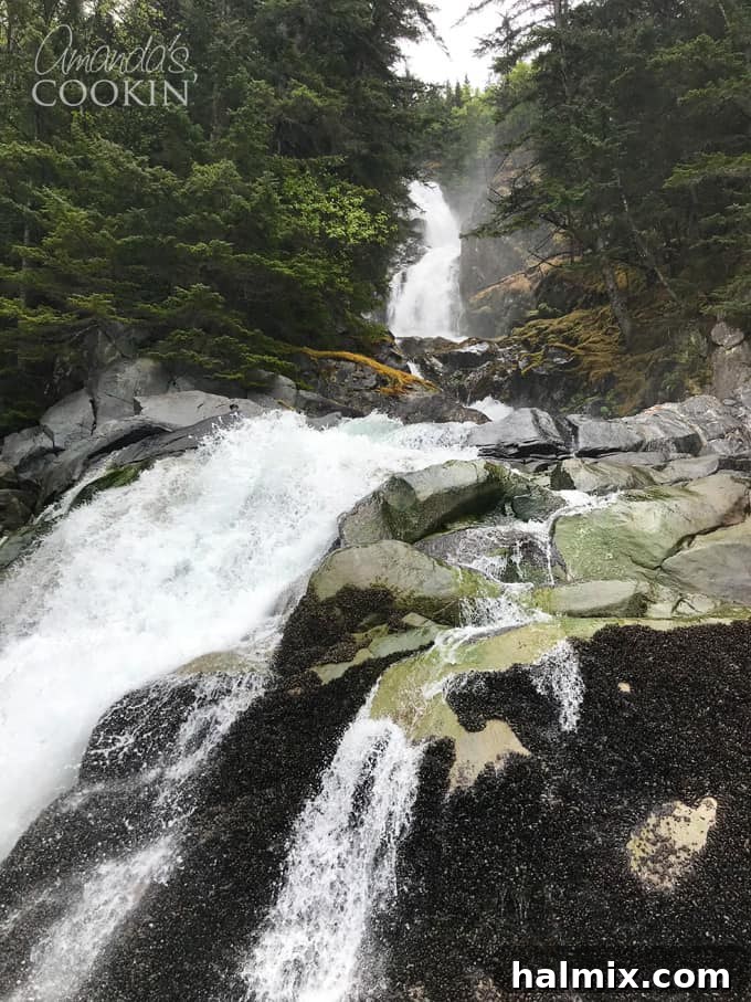 Witness spectacular waterfalls on your way to Davidson Glacier. An unforgettable part of your Skagway, Alaska canoe tour. #alaskancruise #alaskaexcursion #canoetour #glaciertour #skagwayalaska #visitalaska #travelalaska #sponsored #princesscruises @princesscruises #comebacknew waterfall in alaska fjord