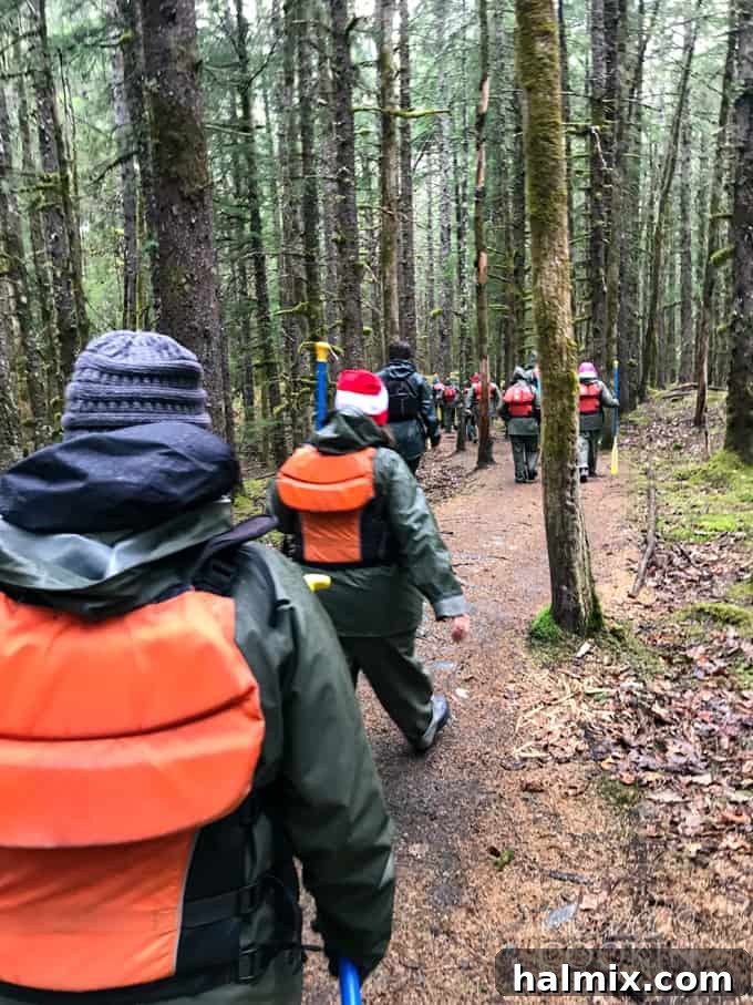 Hike through ancient forests to reach the launching point for your Davidson Glacier canoe tour in Skagway. #alaskancruise #alaskaexcursion #canoetour #glaciertour #skagwayalaska #visitalaska #travelalaska #sponsored #princesscruises @princesscruises #comebacknew hiking through forest to go to glacier in alaska