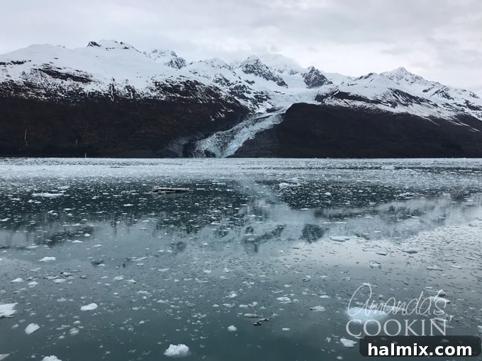 Stunning view of ice floes gently drifting in Glacier Bay, reflecting the majestic Alaskan landscape.