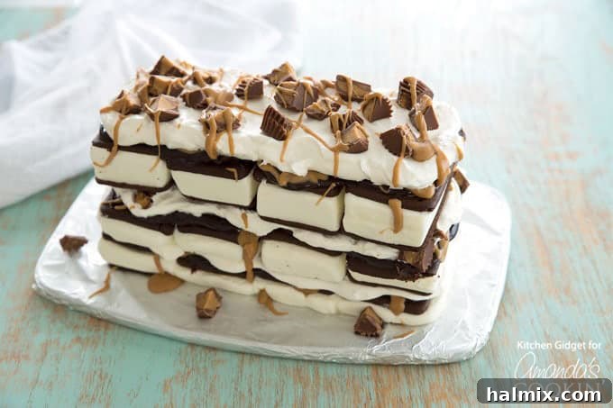The stunning finished Peanut Butter Ice Cream Sandwich Cake, ready to be sliced and served.
