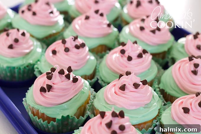 Watermelon Burst Cupcakes 8 Cupcakes sprinkled with miniature chocolate chips as seeds