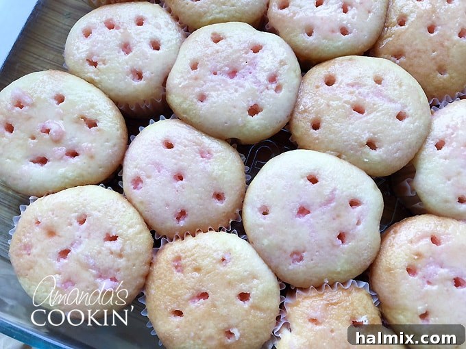 Watermelon Burst Cupcakes 5 Close-up of poked cupcakes after Jell-O infusion