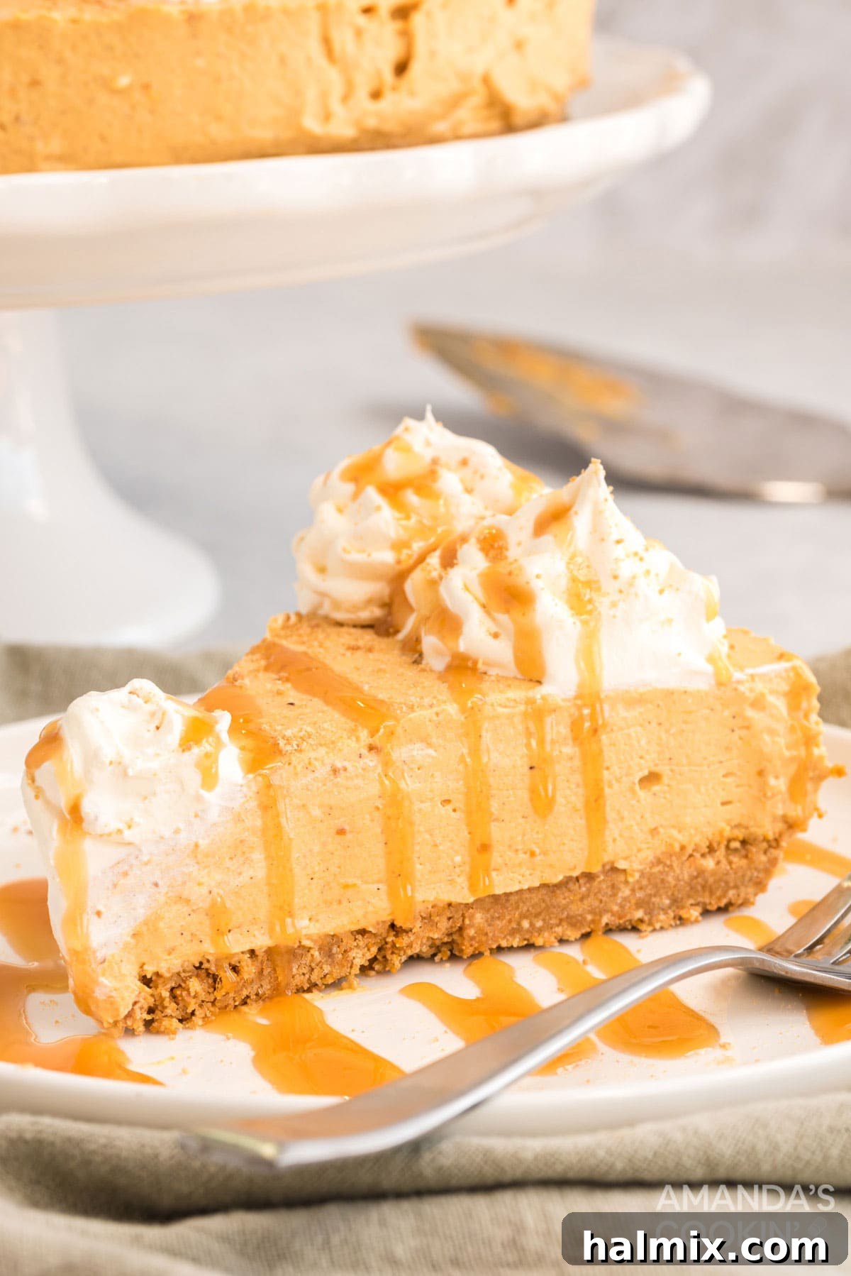 Less than 10 ingredients and absolutely zero oven time is what it takes to make this amazing no-bake pumpkin cheesecake. Super easy and equally impressive, your guests will love it. A delectable slice of No-Bake Pumpkin Cheesecake resting on a plate, elegantly drizzled with rich caramel sauce and garnished with whipped cream.