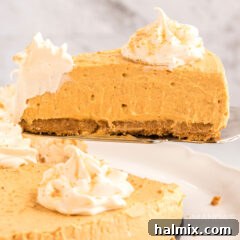 Effortless Pumpkin Cheesecake 10 A delectable slice of no-bake pumpkin cheesecake, showing its creamy texture and graham cracker crust.