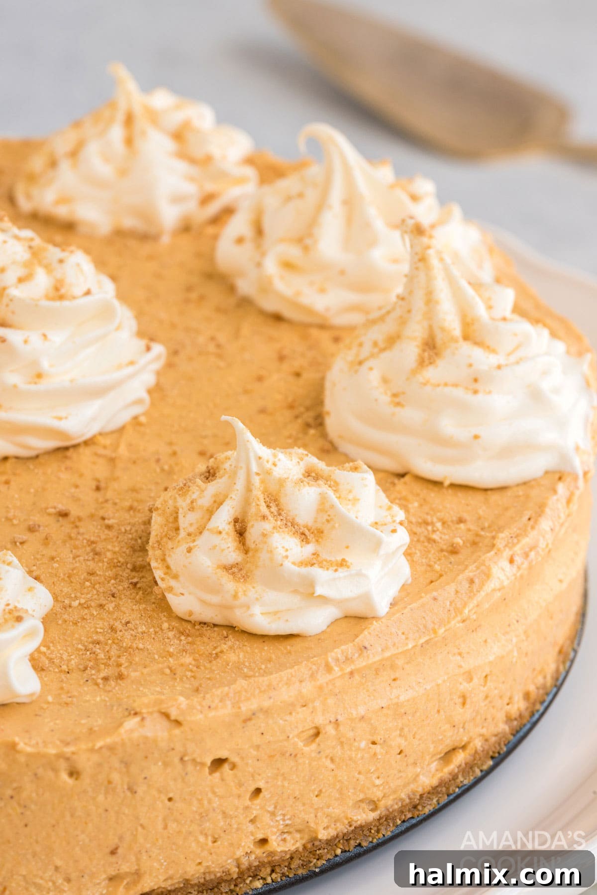 Less than 10 ingredients and absolutely zero oven time is what it takes to make this amazing no-bake pumpkin cheesecake. Super easy and equally impressive, your guests will love it. No-Bake Pumpkin Cheesecake garnished with elegant swirls of whipped topping, ready for serving.