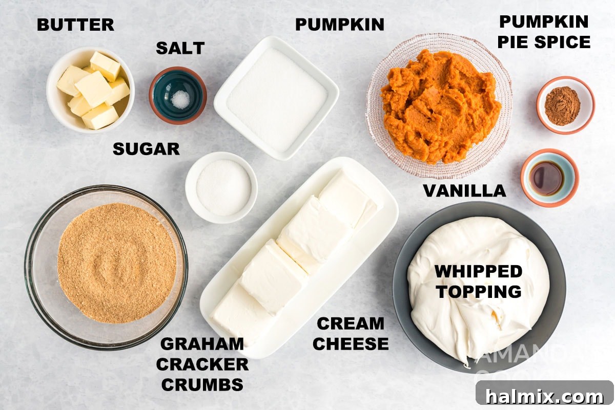 A collection of labeled ingredients including graham crackers, butter, pumpkin puree, cream cheese, sugar, pumpkin pie spice, and vanilla extract, laid out for making no-bake pumpkin cheesecake.