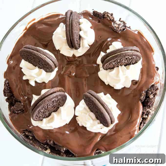 Chocolate Lasagna Trifle overhead shot