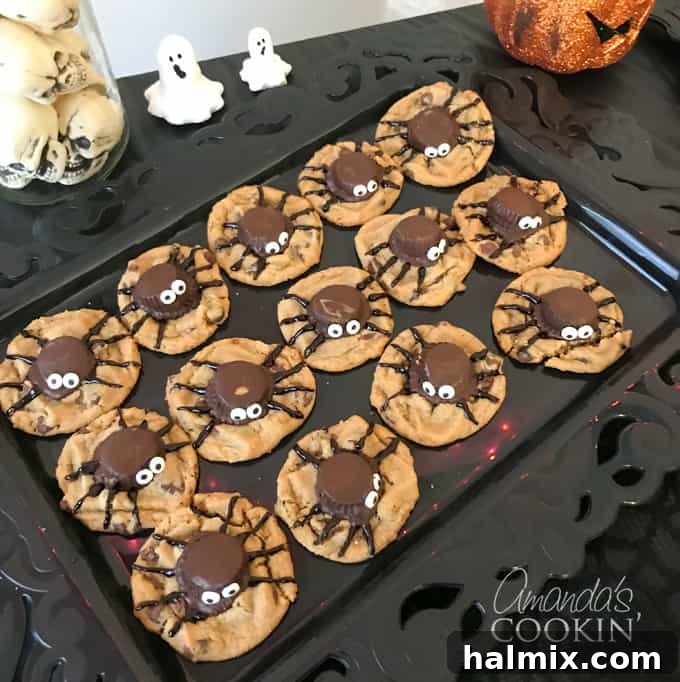 If you need Halloween food ideas for your Halloween party, be sure to check out all these sweet, savory and beverage ideas! Something for everyone. #halloweenrecipes #halloweenfoodideas #halloweenfood #halloweentreats #halloweenpartyfood #mummycookies #mozarellaeyeballs #spidertacodip #spidercookies #ricekrispypumpkins #ricekrispymonsters #dipinapumpkin #halloweenparty Close-up of a spider cookie with chocolate legs