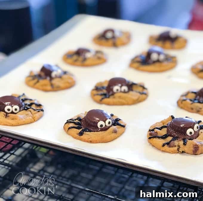 If you need Halloween food ideas for your Halloween party, be sure to check out all these sweet, savory and beverage ideas! Something for everyone. #halloweenrecipes #halloweenfoodideas #halloweenfood #halloweentreats #halloweenpartyfood #mummycookies #mozarellaeyeballs #spidertacodip #spidercookies #ricekrispypumpkins #ricekrispymonsters #dipinapumpkin #halloweenparty A plate of several spider cookies with various chocolate spiders