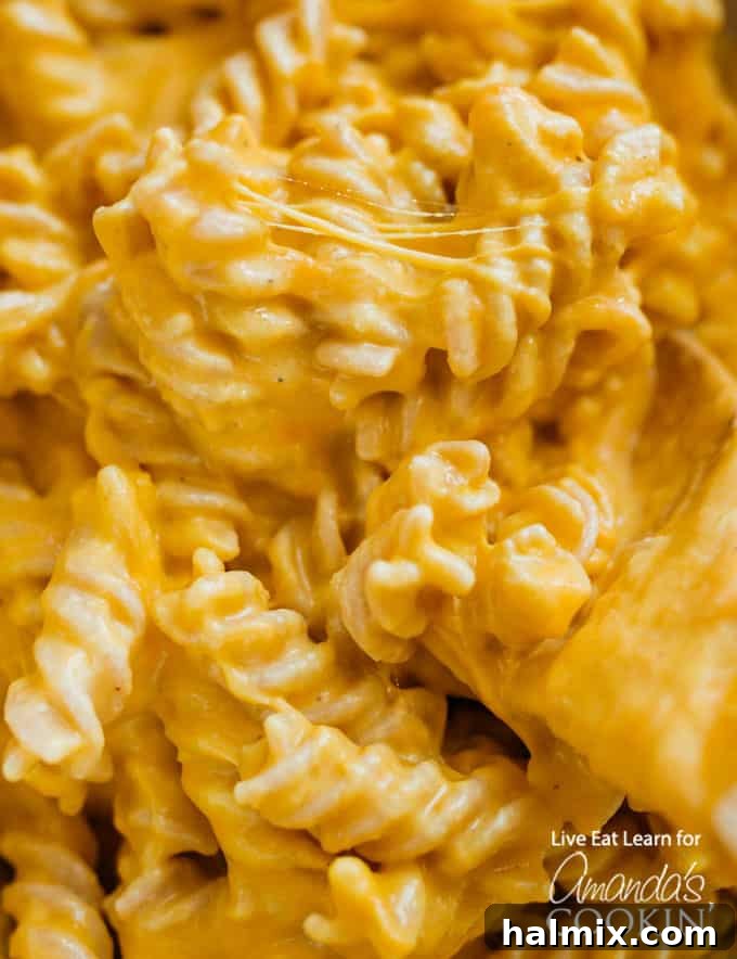 Close-up of creamy Butternut Squash Mac and Cheese in a bowl, showing the texture.