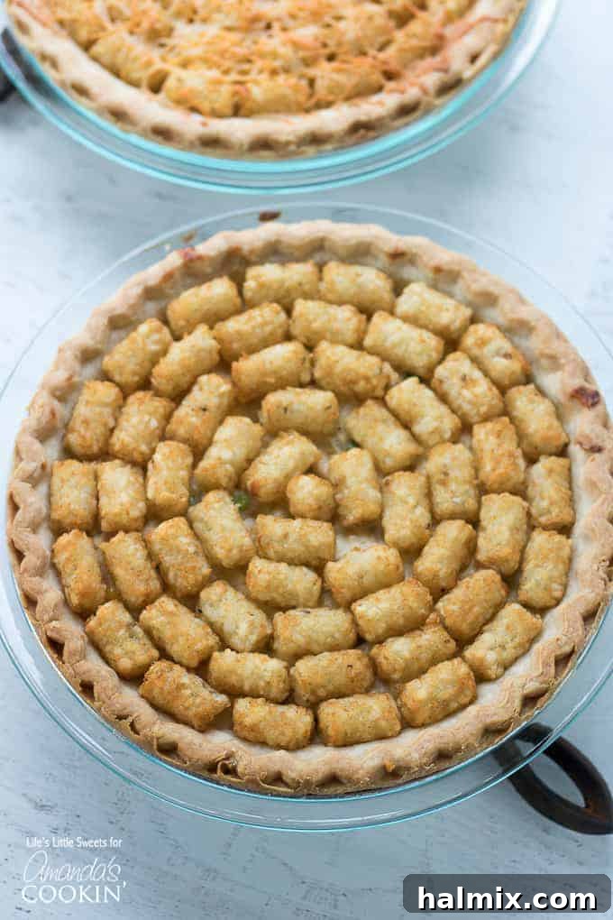 Chicken Pot Pie Tater Tot Casserole overhead shot