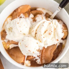 Slow-Cooked Apple Cinnamon Delight 9 Crockpot Cinnamon Apples with ice cream