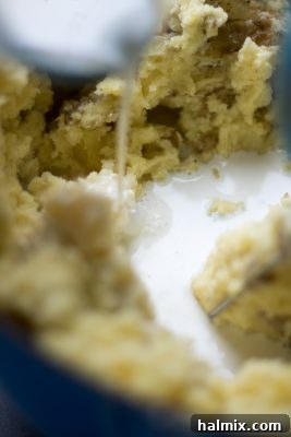 Adding half and half and seasonings to the mashed potatoes.