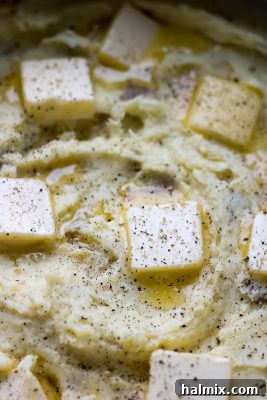 Final presentation of creamy traditional mashed potatoes with toppings in a serving dish.