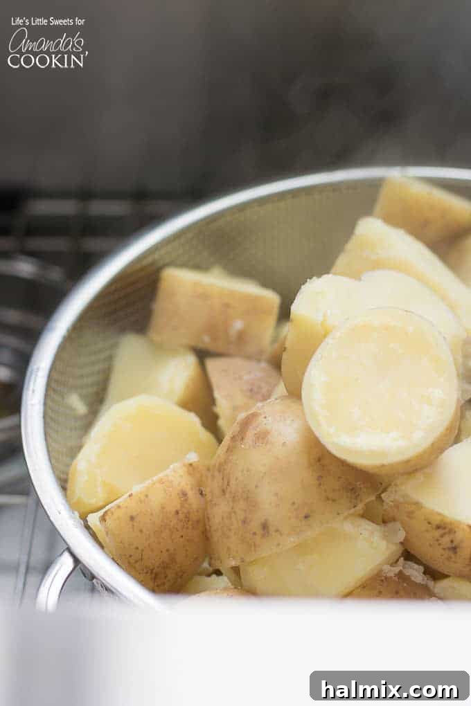 Cut and cooked potatoes steaming in a colander before mashing.
