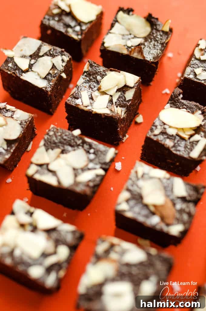 Vibrant close-up of individual chocolate fudge squares on a bold red background.