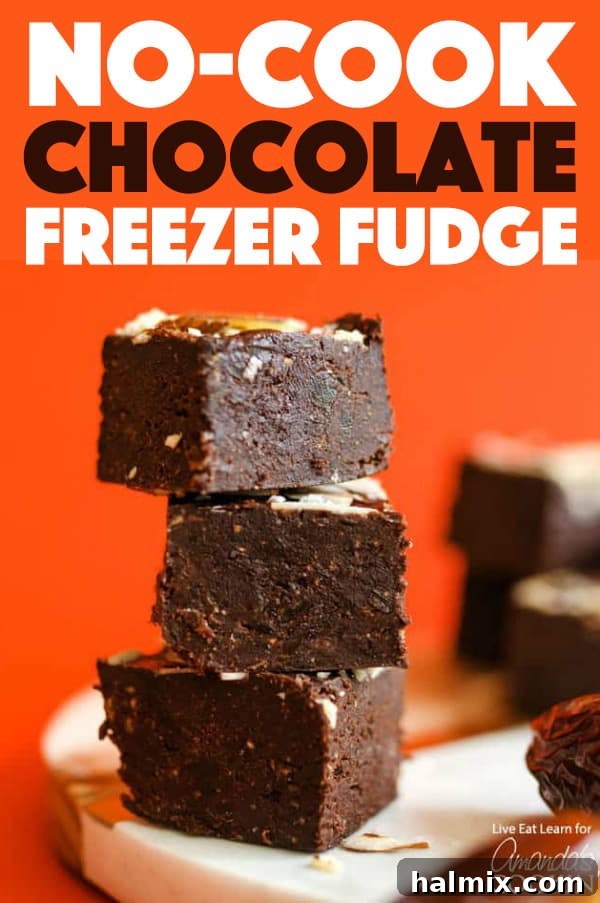Delicious chocolate freezer fudge squares, perfect for satisfying sweet cravings or sharing with loved ones.