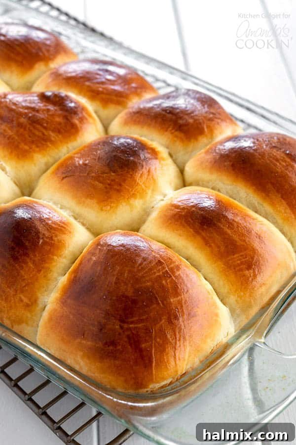 Freshly baked Homemade Hawaiian Rolls in a pan, golden brown and soft
