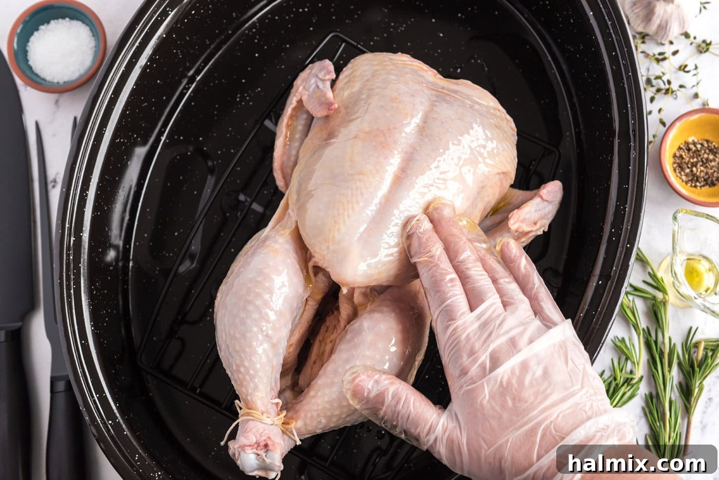 Golden Roasted Chicken 7 Hands are rubbing olive oil into the skin of a whole raw chicken, ensuring it's evenly coated before seasoning, guaranteeing crispy results.