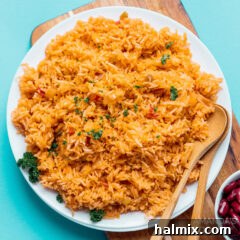 plate of spanish rice