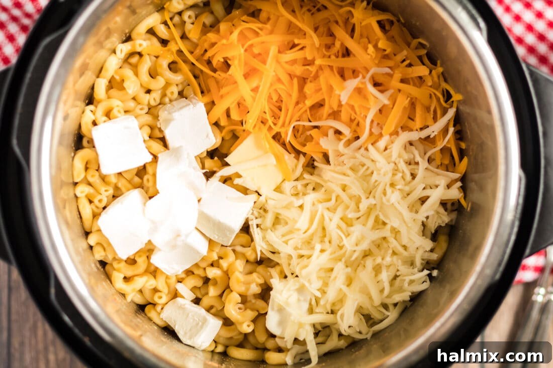 Instant Pot lid with steam release valve in sealing position