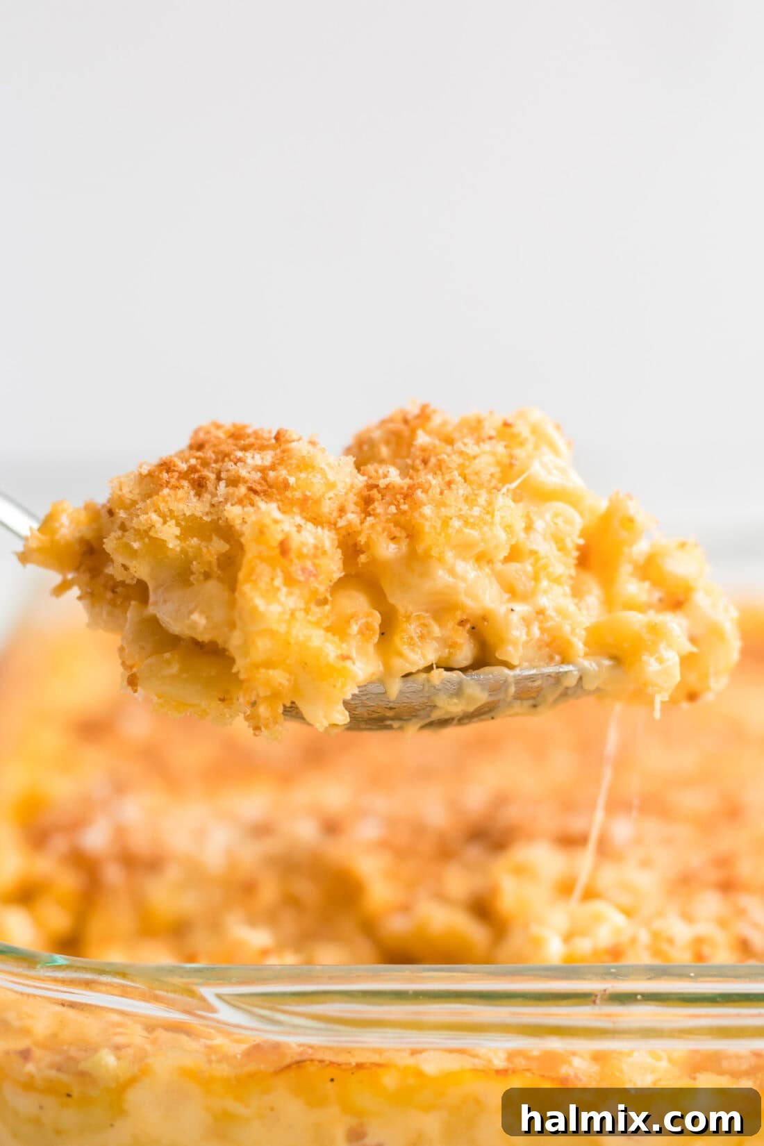 Golden-Crusted Macaroni Bake 2 Baked macaroni and cheese on a serving spoon, showcasing its creamy texture and golden-brown topping.