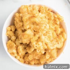Golden-Crusted Macaroni Bake 13 Bowl of creamy Baked Macaroni and Cheese
