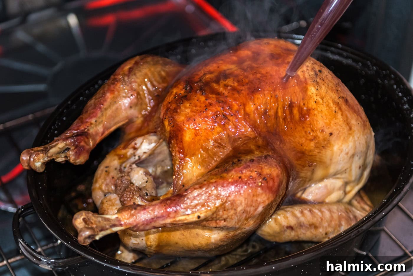 basting turkey with the pan juices in the oven