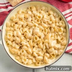 A bowl of pasta and cheese, showcasing the Panera Mac and Cheese recipe