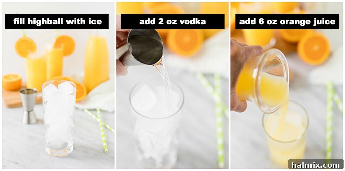 Step-by-step visual guide showing how to prepare a Screwdriver cocktail, from adding ice to garnishing.