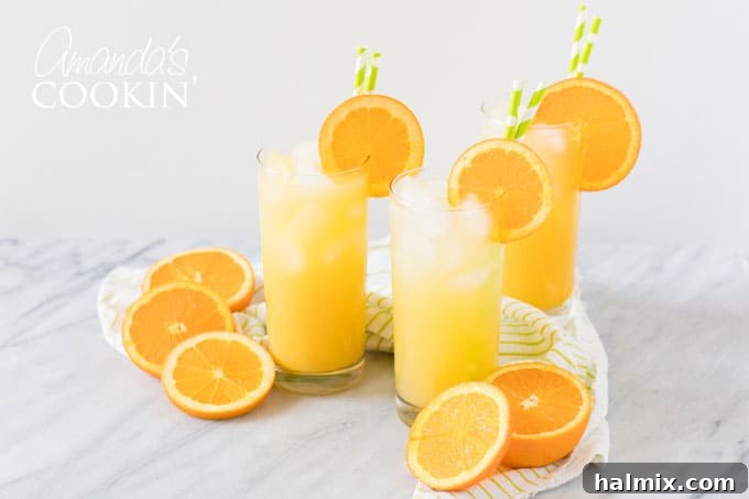 Two vibrant Screwdriver cocktails in elegant highball glasses, garnished with fresh orange slices, ready for a toast.