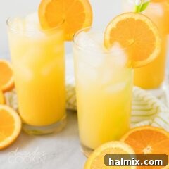Two glasses of Screwdriver cocktail garnished with orange wheels, viewed from above.