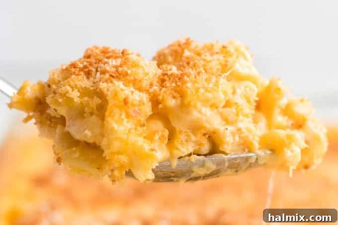 A serving spoon scoops up a portion of traditional baked mac and cheese, revealing its gooey interior and crispy breadcrumb topping.