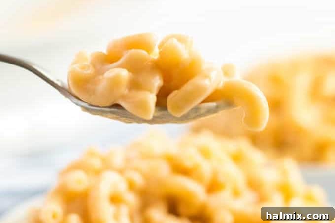 A spoon full of homemade stovetop mac and cheese, showcasing its smooth and creamy texture.