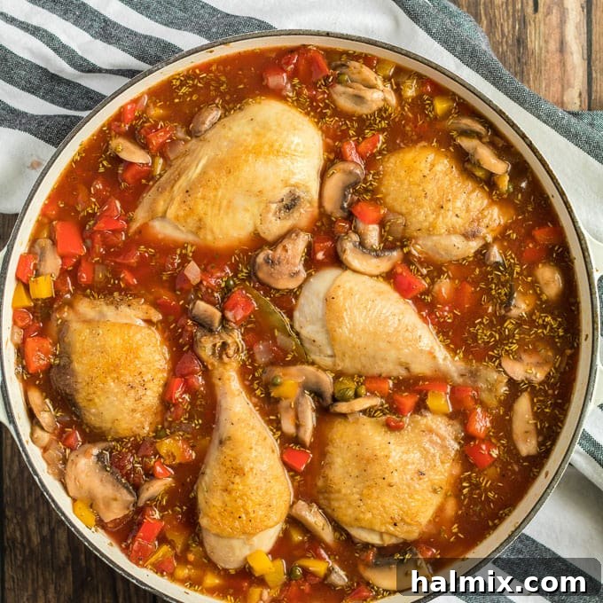 Chicken pieces in sauce in pan for Chicken Cacciatore. Chicken pieces nestled into the simmering tomato and vegetable sauce in a pan, ready for slow cooking.
