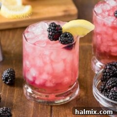 Glass of a Bramble drink, garnished with a blackberry and lemon slice, showcasing its inviting appearance.