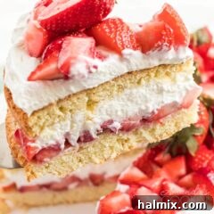slice of strawberry shortcake on pie server