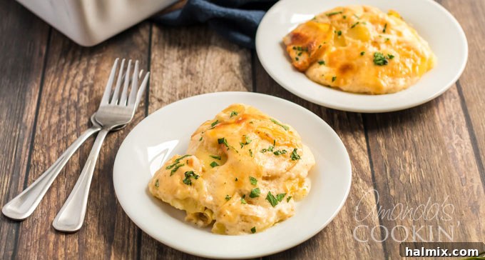 A single serving of golden-brown scalloped potatoes on a white plate, showcasing its rich, creamy texture and cheesy crust.