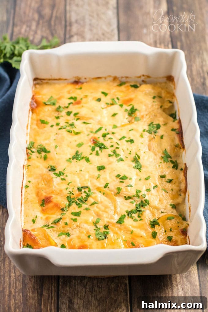 A baking dish filled with pre-baked scalloped potatoes, showcasing the layers and golden top, ready to be served.
