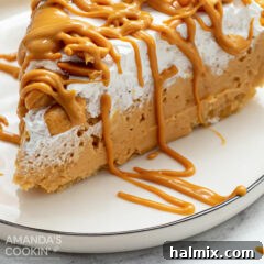 close up of peanut butter pie slice