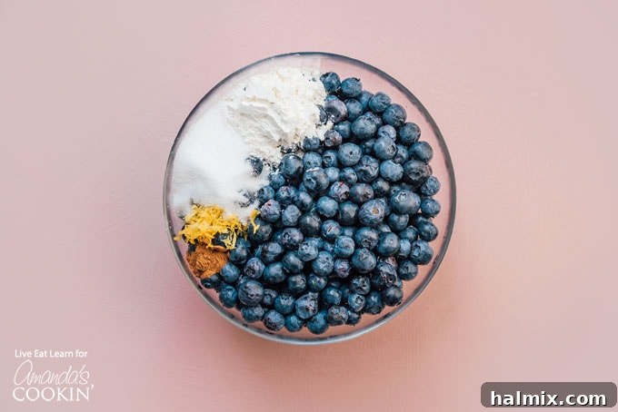 Fresh blueberries mixed with sugar, cornstarch, lemon zest, and cinnamon in a clear glass mixing bowl, ready for the pie filling.