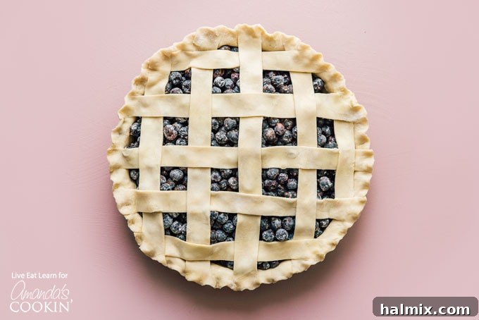 An unbaked blueberry pie with a perfectly crafted lattice crust, ready to be placed into the oven for baking.