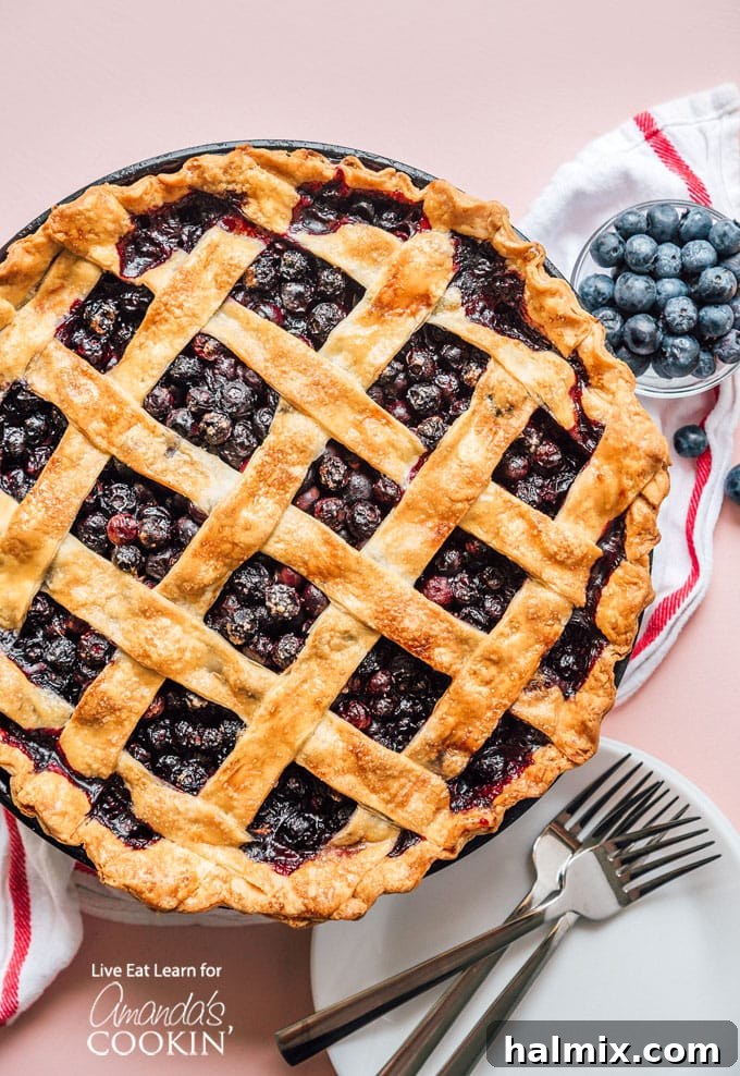 An overhead shot of a freshly baked blueberry pie, featuring a detailed golden lattice crust and a glimpse of the rich blueberry filling, ready to be enjoyed.