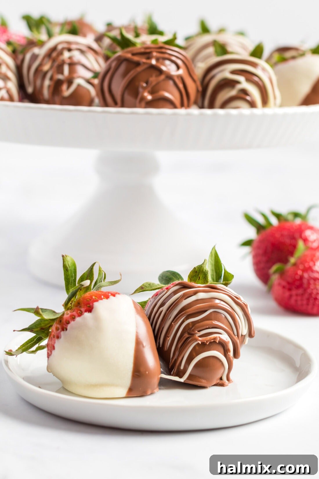 Two Chocolate Covered Strawberries on a plate with more in the background