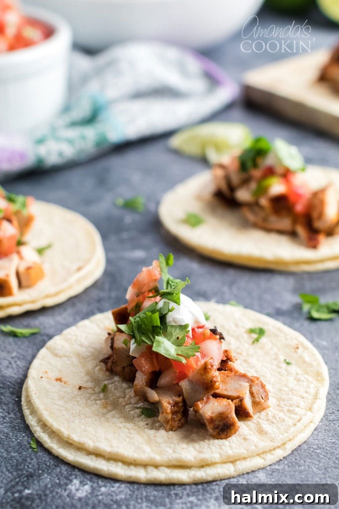 Three mini corn tortillas filled with perfectly grilled and chopped chicken, ready for a variety of fresh toppings.