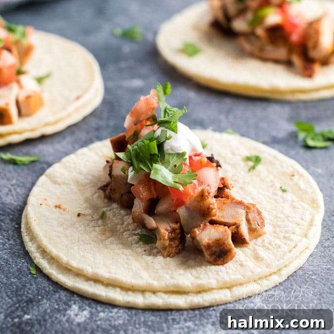 Two warm corn tortillas generously filled with chopped grilled chicken and a variety of fresh toppings.