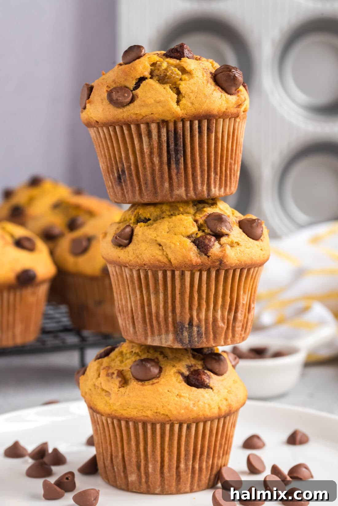 Harvest Pumpkin Chocolate Chip Muffins 2 stack of Chocolate Chip Pumpkin Muffins