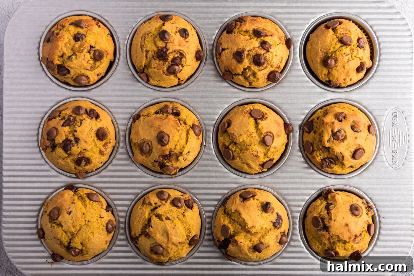 Harvest Pumpkin Chocolate Chip Muffins 18 chocolate chip pumpkin muffins in a pan