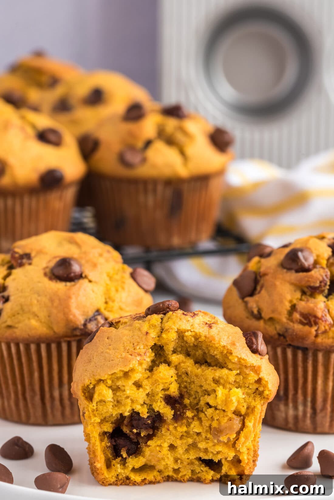 Harvest Pumpkin Chocolate Chip Muffins 3 halved Chocolate Chip Pumpkin Muffin
